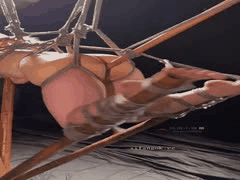 纯情小猫Lntano捆绑调教裸舞，揭秘隐藏性癖的极致诱惑