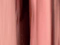 MyFans兽会系列：素人肉便器真实堕落群P合集第3部