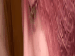 Myfans獣会频道：素人肉便器真正堕落合集第二部 群P狂欢