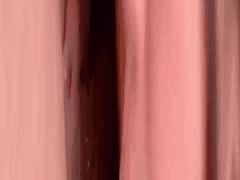 MyFans调教博主素人肉便器真实堕落4K付费合集 - kemonokai群P狂欢