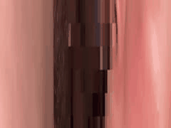 MyFans素人博主彻底堕落！调教肉便器4K付费合集