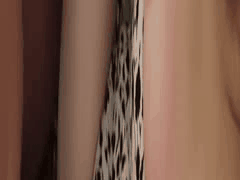 MyFans素人博主调教堕落成肉便器！kemonokaiガチ堕ち4K付费合集