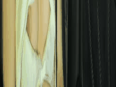 MyFans调教博主kemonokai素人肉便器真实堕落4K付费合集