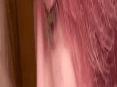 MyFans素人博主调教堕落：肉便器ガチCH kemonokai 4K付费合集3 群P狂欢