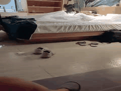 巨乳双萝莉SM狂欢：舔奶狗爬滴蜡抽打跳蛋道具调教