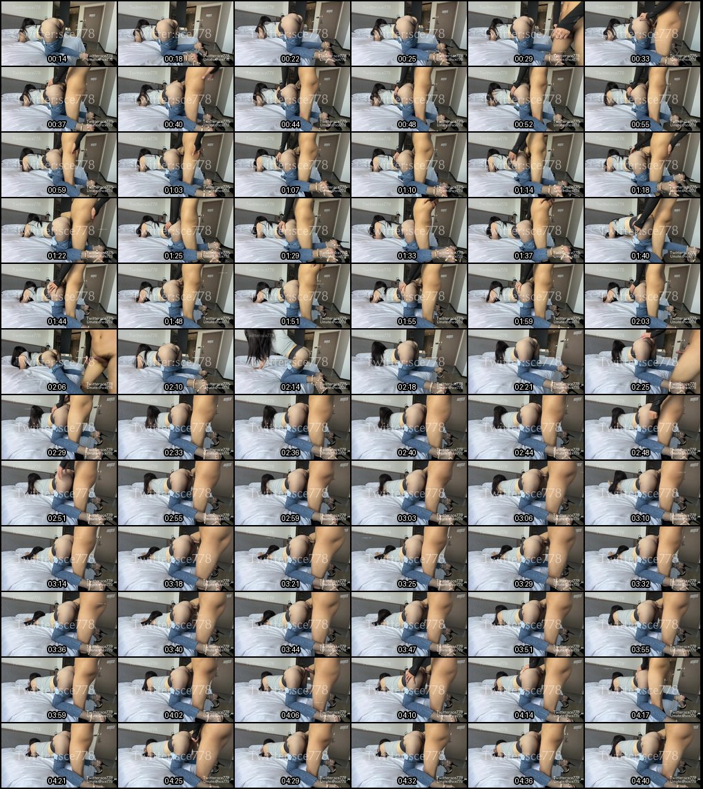 推特极品绿帽：sce与小条调教高颜值萝莉小母狗，各种制服玩肏11月新福利