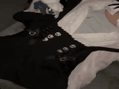 _高清中字_HMN-779清晨_街头露宿的女孩们_主持人从歌舞伎町新红归来发行日期_2026-01-16类型_中文字幕_小只马_接吻_中出_口交_玩具_高清_独家_4K