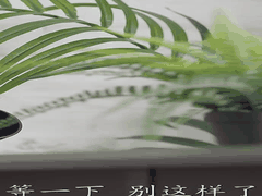 橘玛丽 JUR-287 自夸_一周与妻子做爱三天_的友人_被我一周5天_一次3到4发_总计18发中出睡走了他的妻子_一日十回 _NTR _人妻