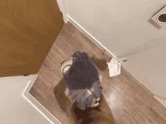 黑丝熟女人妻跪地撅臀内射 上位骑乘狂野诱惑