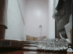 短发熟女技师的狂野舔穴盛宴：黑森林蜜穴大开，淫液四溅激情啪啪