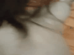 快手大奶熟女人妻丝袜诱惑私拍：蝴蝶逼展示与老公激情啪啪福利