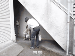 人妻铃目美野丈夫外出遭女婿遥控玩具调教 羞耻巨乳彻底沦陷！