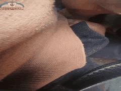 农村巨乳母子乱伦日常：在小动物旁口交吮茎榨射浓汁