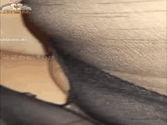 40岁大屁股姨子黑丝家访 舔穴狂肏水流不止 海角社区禁忌激情