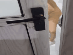 深夜醉酒妹妹回家 哥哥怒闯浴室强上禁忌姐弟乱伦