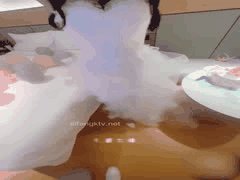 姐姐婚纱醉酒乱伦夜：高潮喷水吞精狂欢