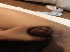 清纯小姨子黑丝足交勾引姐夫：姐姐来电时忍不住怒操骚穴浪叫不止