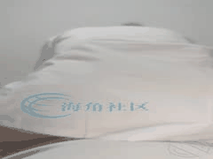 海角社区9万粉乱伦大神付费钻石贴：孤儿寡母母子禁忌激情