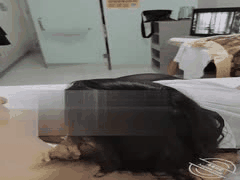 海角社区禁忌合集：勾引性感大姨子，品尝与老婆不同的销魂滋味