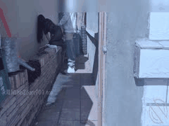 海角社区：善良小嫂子灶台跪姿激战，喊工人来草骚逼超刺激