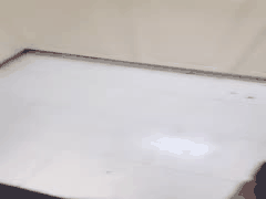 嫂子肥臀诱惑饱暖思淫欲，强按头口交后无套内射，妹妹美穴旁观未双飞