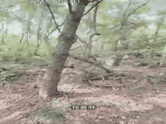 车震禁忌：姐夫带眼镜小姨子户外狂欢，翘臀无毛穴淫水直流