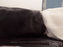 海角社区：奶子即正义！激情内射老婆美胸姐妹的偷情实拍