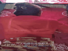 母子禁忌：在爸妈结婚照前奸淫母亲，逼她羞辱父亲的极致刺激视频