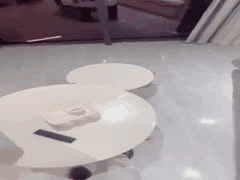 极品萝莉学妹补习后被哥哥哄骗猛插白虎嫩穴！奶声求饶吞精跪爬吐精全记录