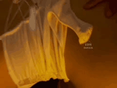 00后白虎幼师遭领导老板轮番群P 扛腿猛干骚穴技巧高超超爽