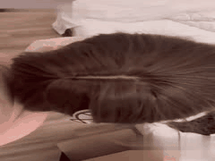 微胖巨乳学妹白虎嫩穴狂欢：汁水泛滥高潮喷射，销魂抽插直击灵魂深处！