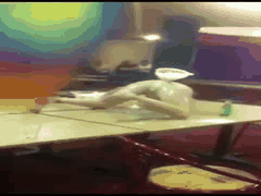 少女户外直播大胆暴露白虎嫩穴！炮机猛烈撞击抽搐喷潮高潮