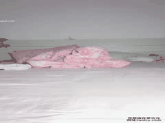 白虎萝莉福利订阅新作：幼嫩少女2小时激情录播