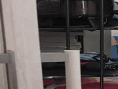 中字_ WAAA-409 被女学生討厌的性骚扰变態老师_被他们锁定的我_没人会救我被集体痴汉玩弄 下课后的沈默中出轮_ _二叶惠麻 _校服 _痴汉 _凌辱