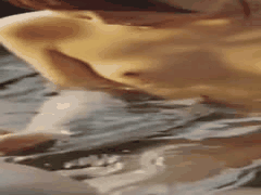 （高清中字）IPZZ-730 在一次为学校旅行考察的商务旅行中，我意外地和一位性骚扰老师合住一间房……被我憎恨的变态老师古川穗乃香强奸，让我高潮迭起，几乎窒息而死。 - 古川ほのか发行日期 类型_ 中文字幕, 女教师, 苗条, 单体作品, NTR, 剧情, 高清, 独家, 极限高潮