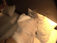 BUENAVISTA _沙_叉_SEX_ _buena218