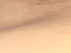 全校师生的精液都灌入樱井莉亚的子宫 _内窥 _情趣玩具 _深喉 _性奴 女优 _桜井_ _樱井里亚 番号 n0417 _无码