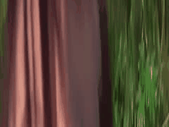 可爱20岁女大学生开车口交中出！丰满美乳无法自拔的激情瞬间