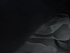 48分钟偷窥狂欢：纯真少女沦为公众玩物，经典叹息回荡 #无码FC2素人