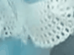 限量特典！Toyoko酱捡到的小猫咪情侣酒店剃毛口交内射激情