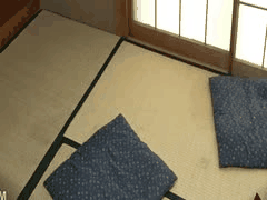 32岁人妻被20岁打工仔成功引诱！NKKD-344无码破解版