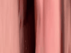 街头猎艳实录！MyFansガチ堕ちCH素人肉便器合集，露脸群P狂欢