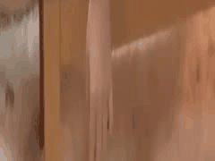 番号：SDDE-686日期：2023-2-23演员：#中山琴葉 #中山琴叶 #白桃はな #白桃花 #穂花あいり #穗香爱里 #岬野まなつ #御崎野真夏片名：真的有一个能让时间停止的人！ -年底兴奋的戴绿帽情侣并给他们一份中出礼物-⭐剧情：快乐的！新的！好的…。年末倒计时派对上弥漫着一种令人不安的“时间的沉默”感。 2022年底，SOD正在对能够让时间停止的男人松本时目进行近距离采访。针对年末心情的