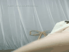 女帝久违回归！天然美乳女神诱惑乳交_JR232