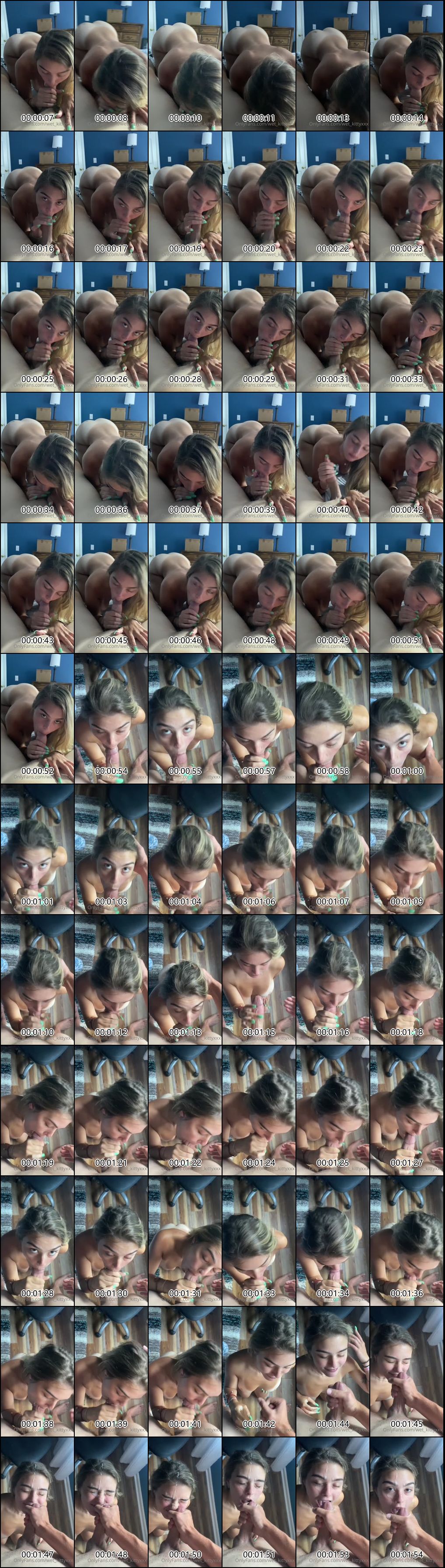 OnlyFans欧美人气博主Wet_KittyXXX精选合集2_3