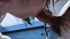 P站与OnlyFans亚裔博主肛交口交精选合集_4