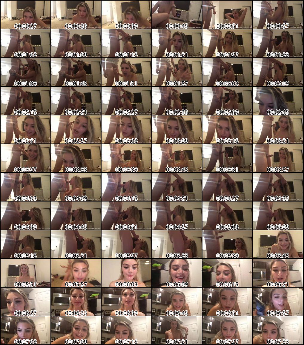 欧美OnlyFans人气博主Wet_Kittyxxx精选合集