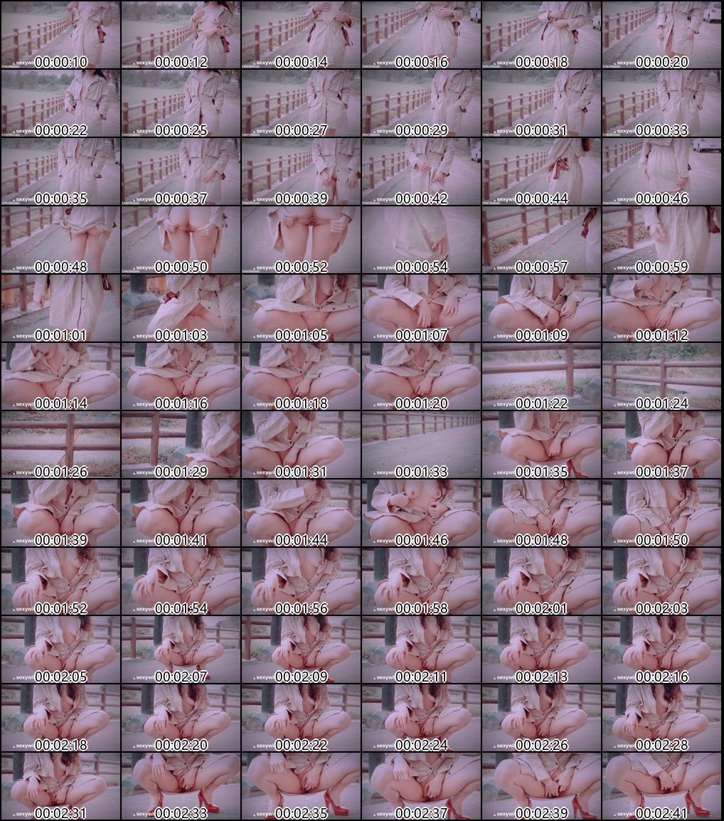 台湾网红Nina合集5户外露出与道具自慰的性感体验_2