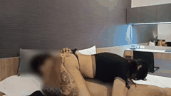 OnlyFans精选_亚裔多人群P激情合集第二弹