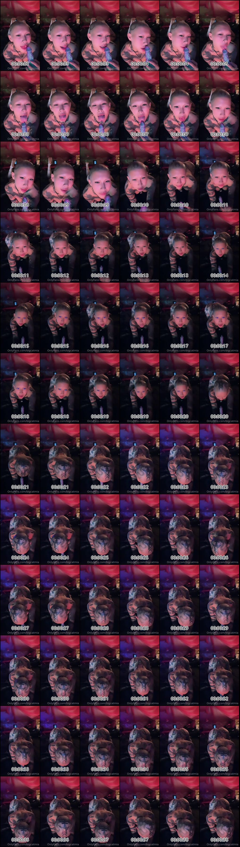 OnlyFans精选_五位华人纹身巨乳博主合集